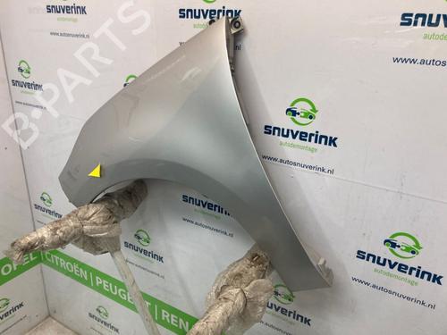 Left front fenders RENAULT SCÉNIC III (JZ0/1_) 1.5 dCi | BP21544533C41 