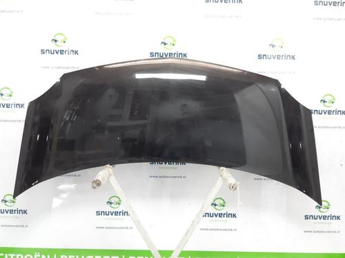Used Hood RENAULT KANGOO / GRAND KANGOO II (KW0/1_) 1.6 16V (KW03, KW09, KW0D, KW0U, KW0W, KW13) (106 hp) 15387792