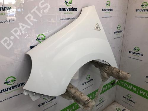 Left front fenders RENAULT KANGOO Express (FW0/1_) 1.5 dCi 90 (FW0G, FW05, FW08, FW11) | BP19687142C41 