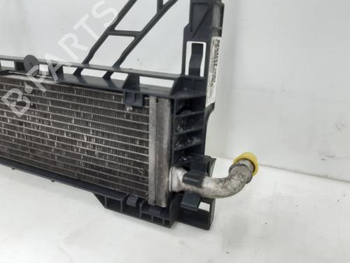 Water radiator RENAULT TRAFIC III Van (FG_) 2.0 dCi 120 (FGMN) | BP29640764M31 