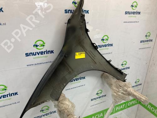 Right front fenders RENAULT MEGANE III Grandtour (KZ0/1) 1.5 dCi (KZ09, KZ0D, KZ1G, KZ29, KZ14, KZ1W, KZ10, KZ1F,... | BP19306675C42 