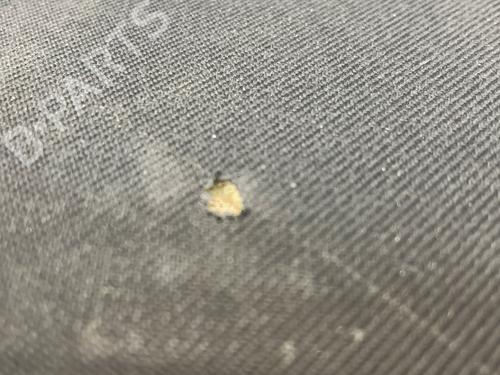 Left front seat RENAULT TRAFIC III Van (FG_) 1.6 dCi 120 (FGMK) | BP30185724C15 