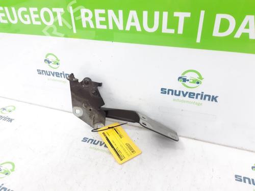 Used Hinge/Door check strap RENAULT MEGANE III Grandtour (KZ0/1) 1.5 dCi (KZ09, KZ0D, KZ1G, KZ29, KZ14, KZ1W, KZ10, KZ1F,... (110 hp) 23123044