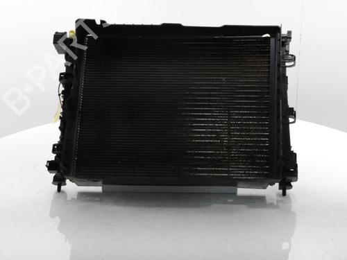 Used Water radiator Water radiator DACIA SANDERO III 1.0 SCe 65 (67 hp) 33696322 33696322