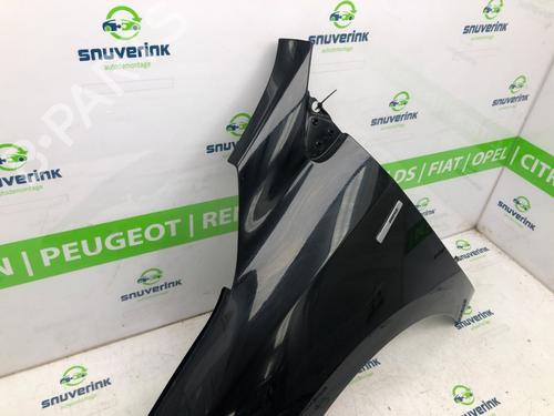 Left front fenders RENAULT MEGANE III Grandtour (KZ0/1) 1.5 dCi (KZ09, KZ0D, KZ1G, KZ29, KZ14, KZ1W, KZ10, KZ1F,... | BP22218287C41 