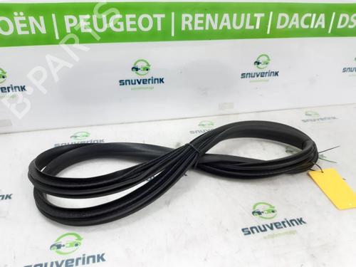 Rubber door seal RENAULT MEGANE E-TECH SUV EV60 (BNJ1) | BP19060342C142 