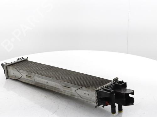 Water radiator RENAULT TRAFIC III Van (FG_) 2.0 dCi 120 (FGMN) | BP30185775M31