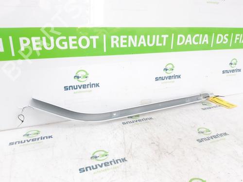 Used Hinge/Door check strap RENAULT KANGOO Express (FW0/1_) 1.5 dCi 75 (FW07, FW10, FW04) (75 hp) 23123049