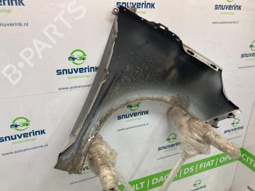 Left front fenders RENAULT SCÉNIC III (JZ0/1_) 1.5 dCi | BP21544533C41 