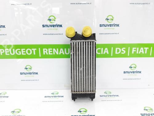 Intercooler CITROËN C4 II (NC_) 1.6 HDi 115 (114 hp) 0384N9 | 9684212480