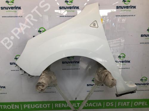 Forskærm venstre Forskærm venstre RENAULT KANGOO Express (FW0/1_) 1.5 dCi 90 (FW0G, FW05, FW08, FW11) (90 hp) 19687142 19687142