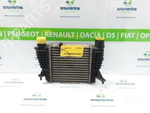 Intercooler RENAULT CLIO III (BR0/1, CR0/1) 1.2 16V (BR0P, CR0P) (101 hp) 10801211