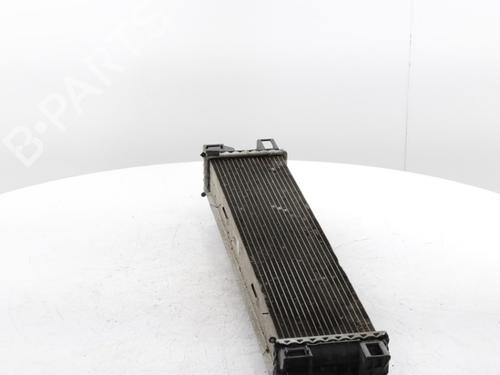 Water radiator RENAULT TRAFIC III Van (FG_) 2.0 dCi 120 (FGMN) | BP30185775M31