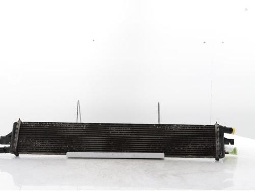 water-radiator-opel-movano-b-van-x62-2010-31960190 main image