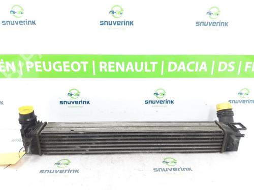 Used Intercooler Intercooler 13231716 13231716