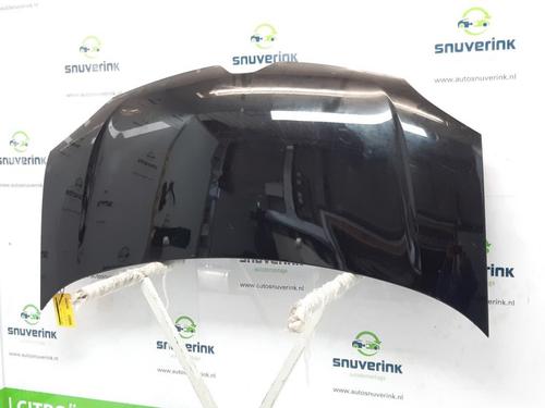 Used Hood RENAULT TWINGO III (BCM_, BCA_) 1.0 SCe 70 (71 hp) 10806973