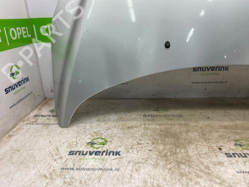 Hood PEUGEOT 308 SW I (4E_, 4H_) 2.0 HDi | BP22218960C1 
