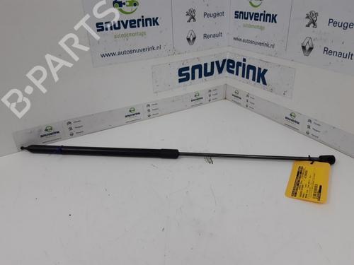 Used Hood lift support RENAULT MEGANE III Grandtour (KZ0/1) 1.5 dCi (KZ09, KZ0D, KZ1G, KZ29, KZ14, KZ1W, KZ10, KZ1F,... (110 hp) 16206038