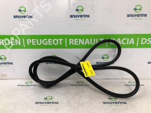 Rubber door seal RENAULT ARKANA I (LCM_, LDN_) 1.3 TCe 160 (LDN1) | BP20214107C142 