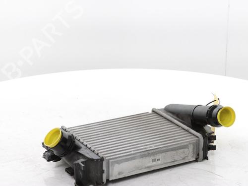 Intercooler RENAULT CLIO V (B7_) 1.0 TCe 100 (B7MT) | BP29899578M30 