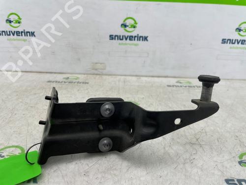 Hinge/Door check strap OPEL MOVANO B Van (X62) 2.3 CDTI FWD (FV) | BP26279950C146 
