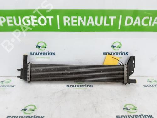 Used Water radiator Water radiator RENAULT EXPRESS Box Body/MPV 1.5 Blue dCi 75 (F6AA) (75 hp) 40579353 40579353