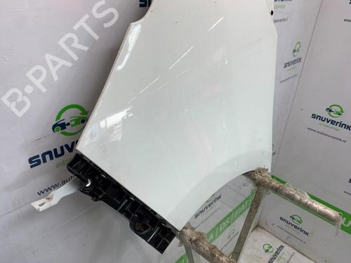 Left front fenders RENAULT TRAFIC III Van (FG_) 2.0 dCi 170 (FGMM, FGMV) | BP26238348C41 