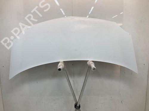 hood-renault-kangoo-express-fw01_-2008-31960145 main image