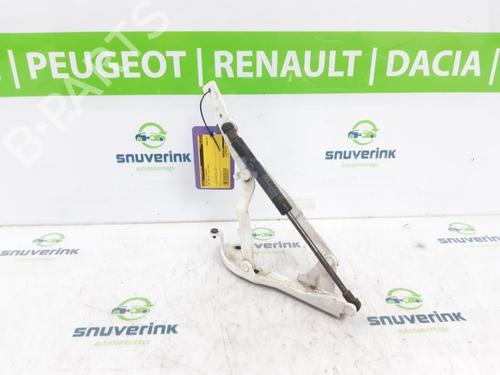 hingedoor-check-strap-fiat-500-c-312_-2009-23122983 main image