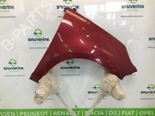 Used Right front fenders RENAULT SCÉNIC III (JZ0/1_) 1.4 16V (JZ0F, JZ1V) (131 hp) 18950574