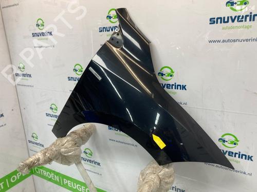 Right front fenders RENAULT MEGANE III Grandtour (KZ0/1) 1.5 dCi (KZ09, KZ0D, KZ1G, KZ29, KZ14, KZ1W, KZ10, KZ1F,... | BP19306675C42 