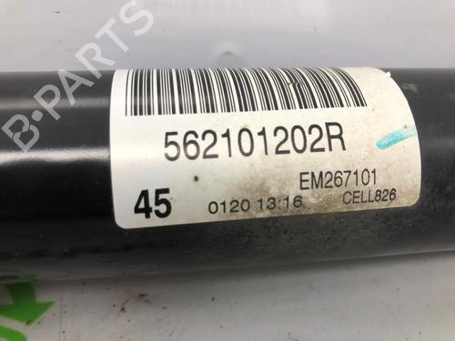 Left rear shock absorber RENAULT MEGANE IV Grandtour (K9A/M/N_) 1.6 TCe 205 | BP17982313M18 