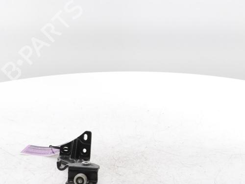 Hinge/Door check strap FIAT DUCATO Van (250_) 120 Multijet 2,2 D | BP29426647C146 