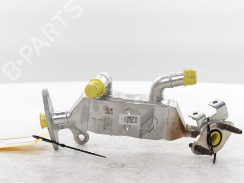 Used Egr RENAULT CAPTUR II (HF_) E-TECH 145 (HFMU) (143 hp) 31627837