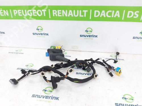 Wiring harness PEUGEOT 208 II (UB_, UP_, UW_, UJ_) 1.2 PureTech 100 | BP19103372E16 