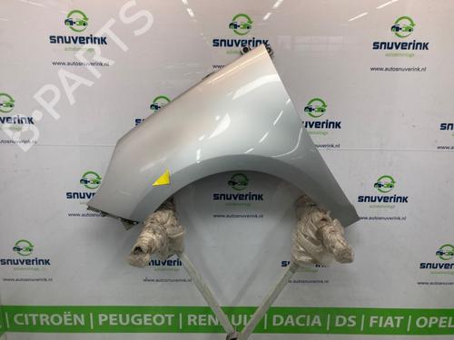 Used Left front fenders RENAULT SCÉNIC III (JZ0/1_) 1.5 dCi (110 hp) 21544533