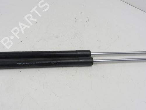 Used Tailgate lift support RENAULT CLIO III (BR0/1, CR0/1) 1.5 dCi (75 hp) 13534782