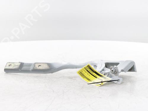 hingedoor-check-strap-renault-master-iv-van-f8__-2024-34565870 main image