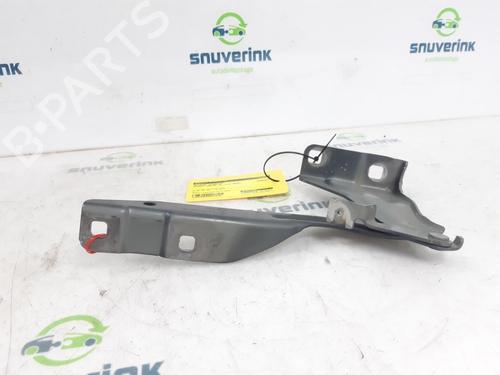 Hinge/Door check strap RENAULT KADJAR (HA_, HL_) 1.3 TCe 140 (HLNB, HLN1) | BP18661943C146 