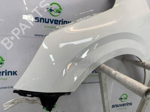 Left front fenders PEUGEOT 208 II (UB_, UP_, UW_, UJ_) 1.2 PureTech 75 | BP25884927C41 