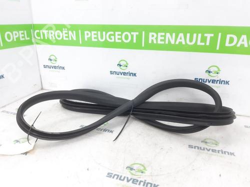 Rubber door seal RENAULT ARKANA I (LCM_, LDN_) 1.6 E-TECH 145 (LDMU) | BP24943931C142 