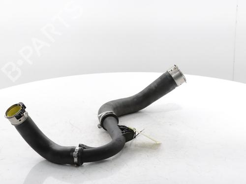 Other RENAULT CLIO V (B7_) 1.0 TCe 90 (B7MT) | BP29241885O1