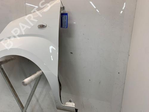 Left front fenders PEUGEOT BIPPER (AA_) 1.3 HDi 75 | BP30186402C41