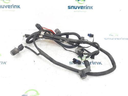 Used Wiring harness CITROËN C3 II (SC_) 1.6 HDi (92 hp) 24164084