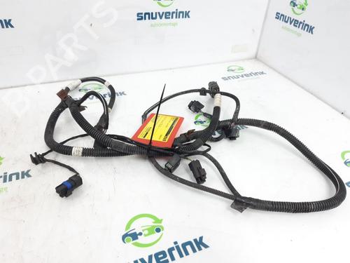 Used Wiring harness CITROËN C3 II (SC_) 1.6 HDi (92 hp) 24164169