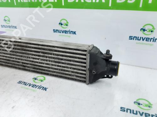 Intercooler FIAT DOBLO Cargo (263_) 1.3 D Multijet | BP23123030M30 