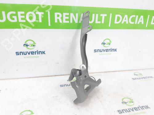 Hinge/Door check strap RENAULT CAPTUR II (HF_) TCe 90 (HFM6) | BP24160254C146 