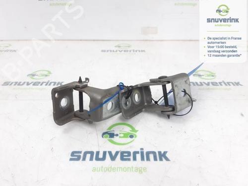 hingedoor-check-strap-peugeot-208-i-ca_-cc_-2012-2013-2014-2015-2016-2017-2018-2019-2020-2021-40580086 main image