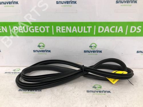 Rubber door seal RENAULT ARKANA I (LCM_, LDN_) 1.3 TCe 160 (LDN1) | BP20214105C142 