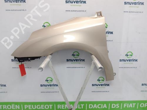 Left front fenders CITROËN C4 I (LC_) 1.6 16V | BP13902355C41 